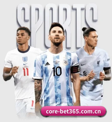 五大服务分区,信息按项目分类（bet365）